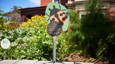 241025 RBGV Childrens Garden 0782