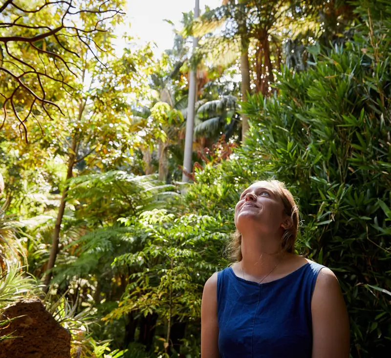 Fern Gully