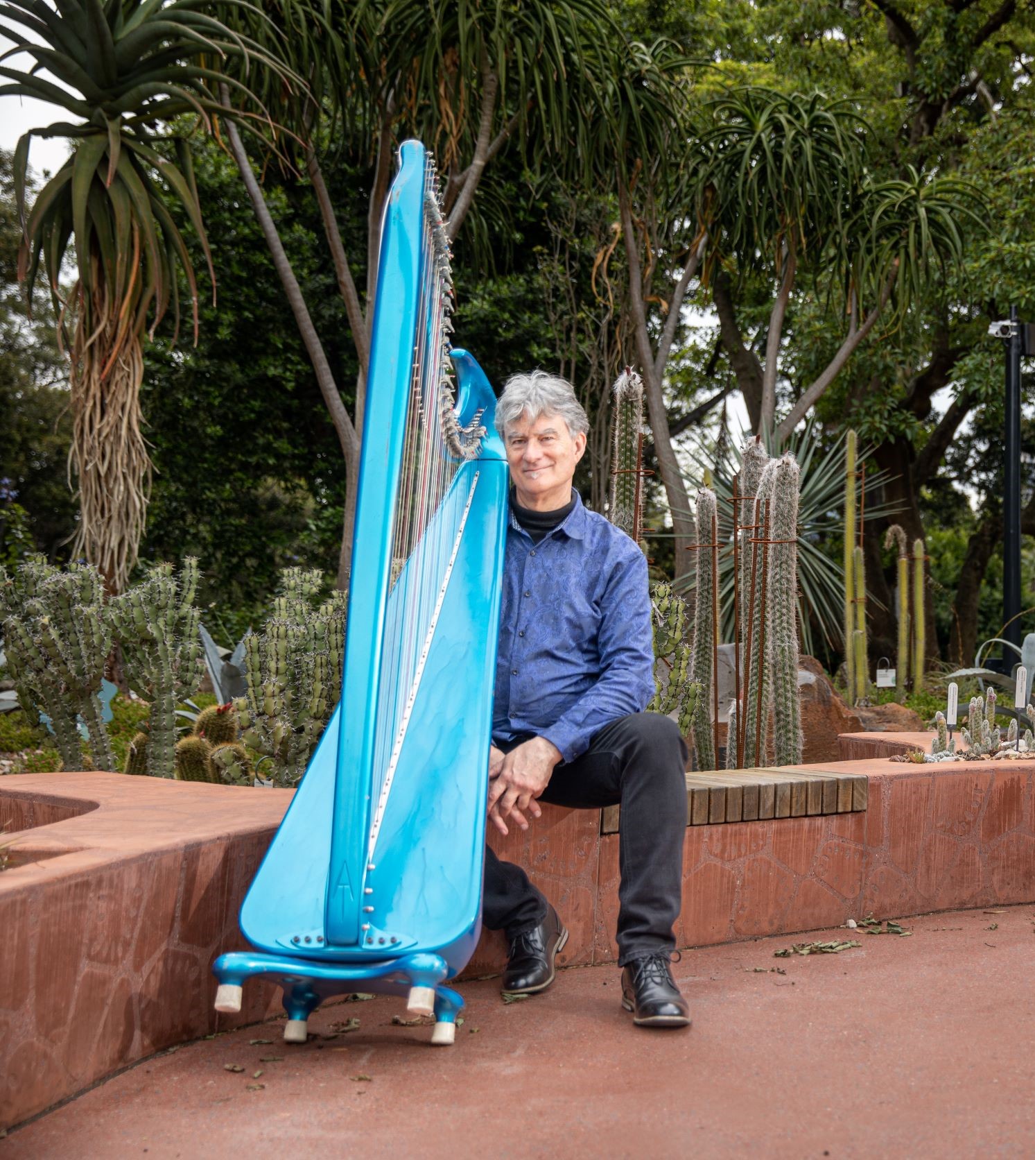 Harp Med2